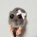 สติกเกอร์