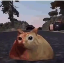 ステッカー