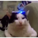 ステッカー