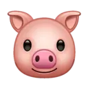 스티커