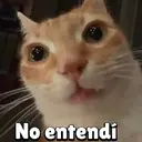 ملصق