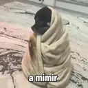 Стикер