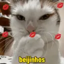 Figurinha