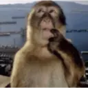 ملصق