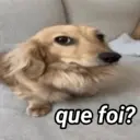贴纸