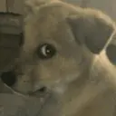 贴纸