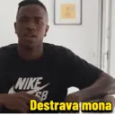 Stika