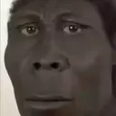 Samolepka
