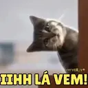 Figurinha