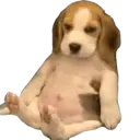 Figurinha