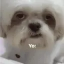 Figurinha