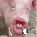 Klistermärke