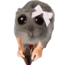 Samolepka