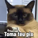 Samolepka