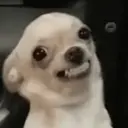 贴纸