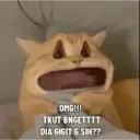 Figurinha