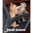 Figurinha