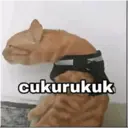 Figurinha