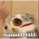 Figurinha
