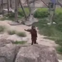 اسٹیکر