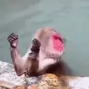 اسٹیکر