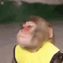اسٹیکر