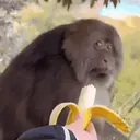 스티커