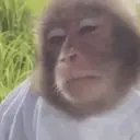 스티커