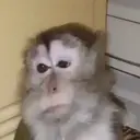 스티커