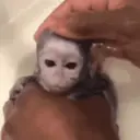 스티커