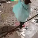 Naljepnica