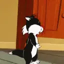 Stika