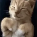 Stika
