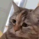 ملصق