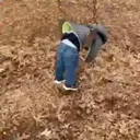 ملصق