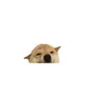 Figurinha