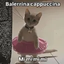 Կպչուն պիտակ