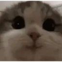 贴纸