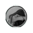 اسٹیکر