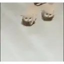Pelekat