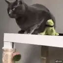 Pelekat