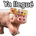 Figurinha