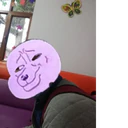 Samolepka