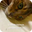 Стикер