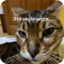 Стикер