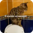 Стикер