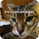 Стикер