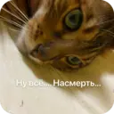 Стикер