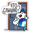 Adhesiu