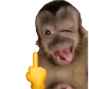 สติกเกอร์